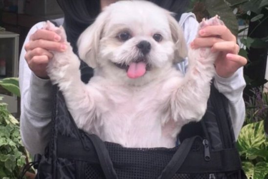 可愛すぎ