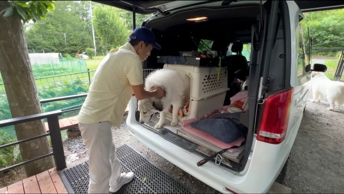 車から降りる犬を支える男性