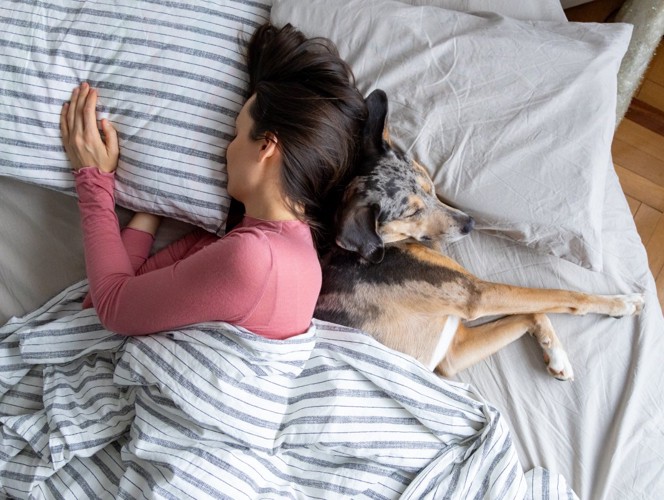犬と添い寝