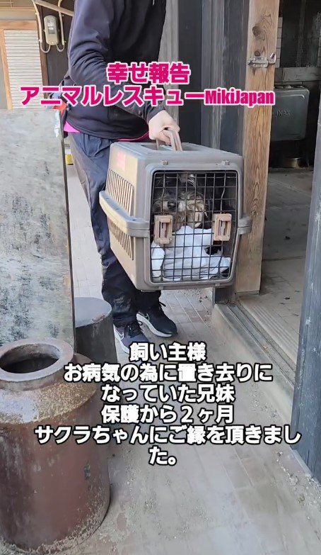 同居犬も一緒に保護