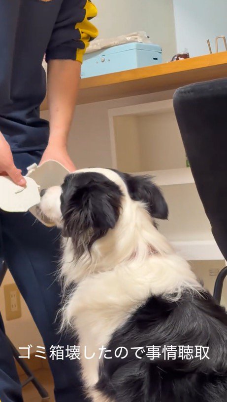 壊れたゴミ箱を持ちながら犬に話しかける男性