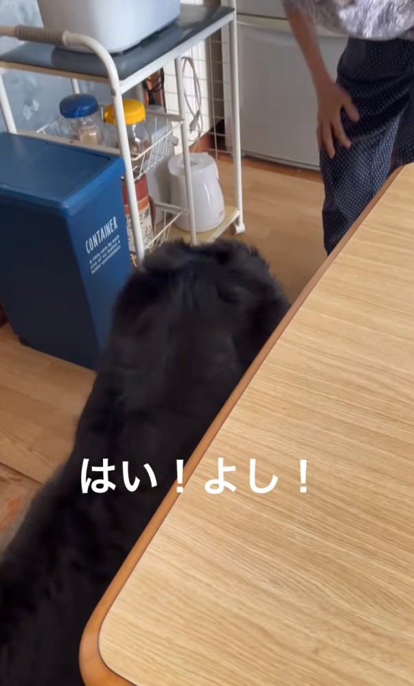 食べる犬