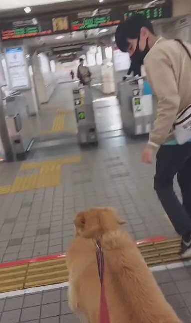 何度も戻っては…