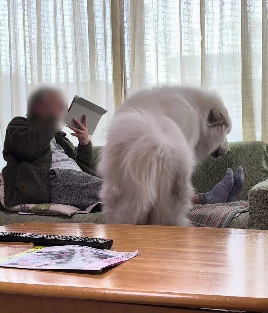 「よいしょっと」