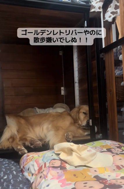 気分が乗らないならちゃん