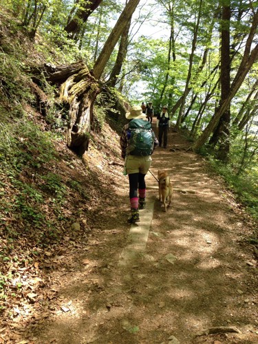 登山中の後ろ姿