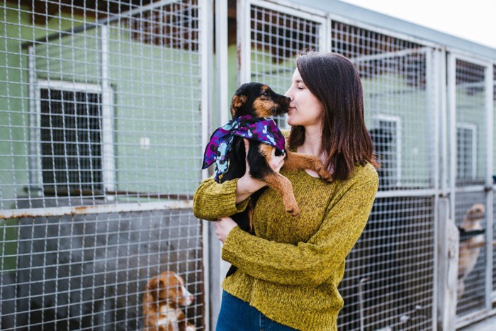 保護施設で犬を選んだ女性