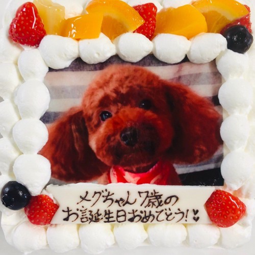 お誕生日ケーキ