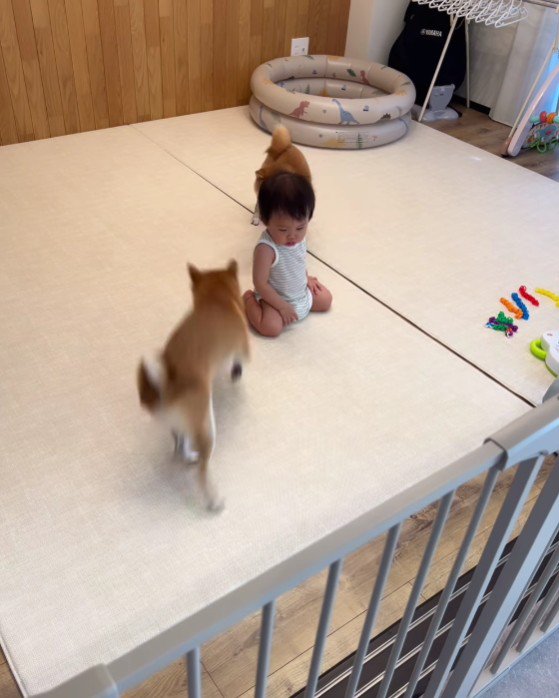 肝の座った赤ちゃんに感嘆