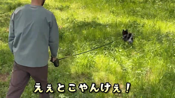 その後は公園でピクニック