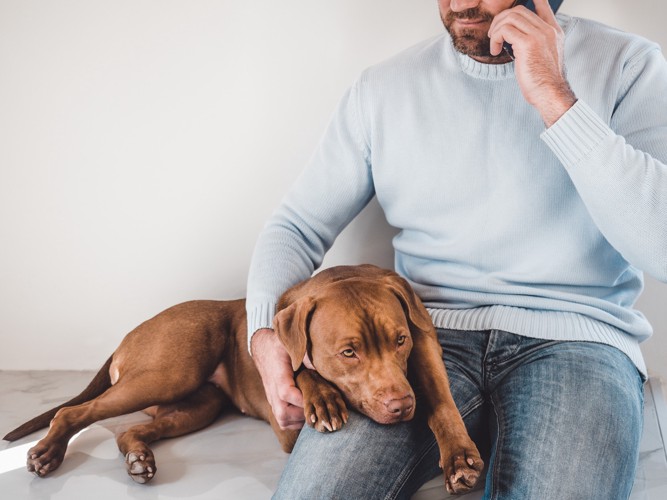 犬を膝に抱えながら電話する男性