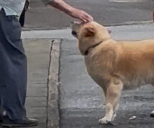 自ら