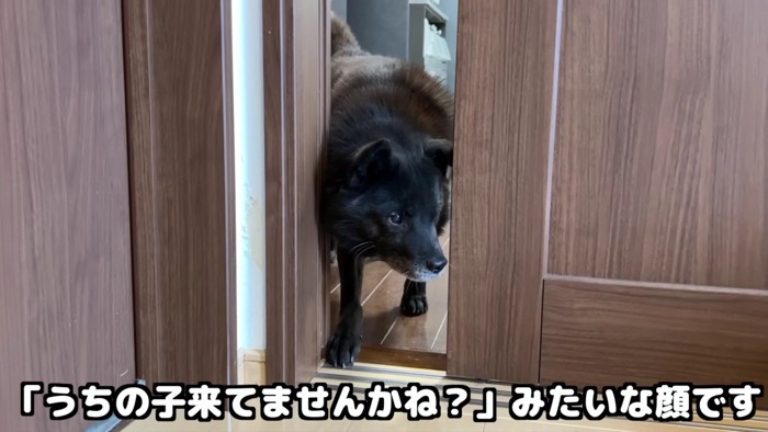「いや、やっぱり…」