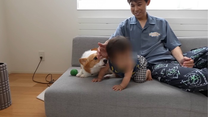 舐めようとする犬