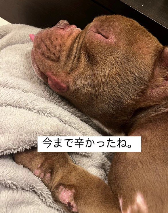 今まで辛かったね