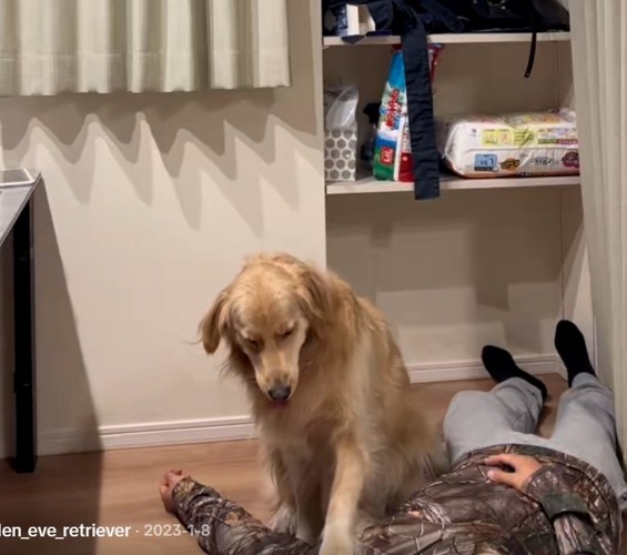 左手を乗せるイヴちゃん