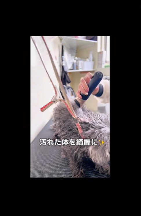 おこげちゃんが幸せを掴むまで3