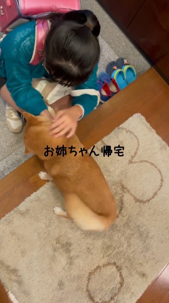 女の子が帰ってきてしっぽを振る犬