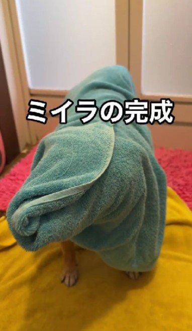 まるでミイラ！？