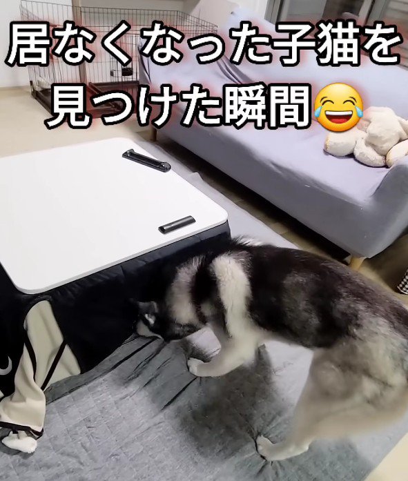 はっちゃんにひらめきが!