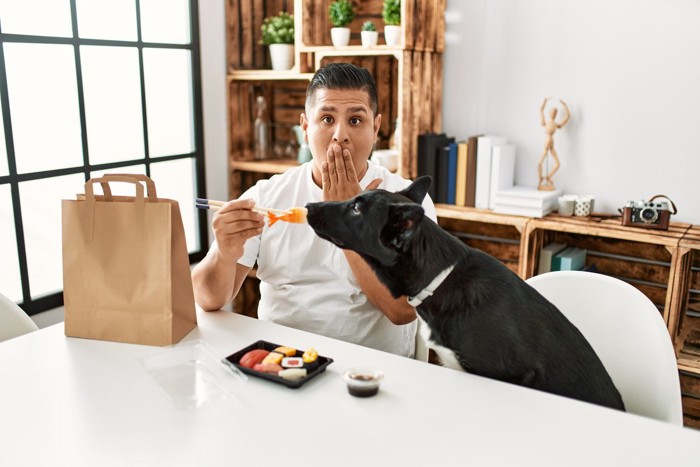 寿司を食べる男性と犬、テーブルに醤油の入ったカップ