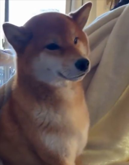 まさかの反応