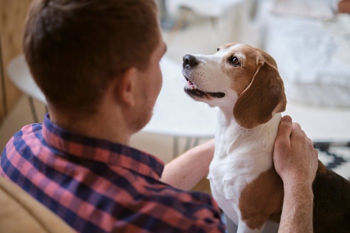 見つめ合う男性と犬