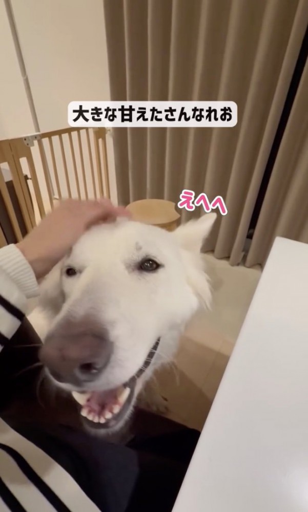 ニッコニコ！