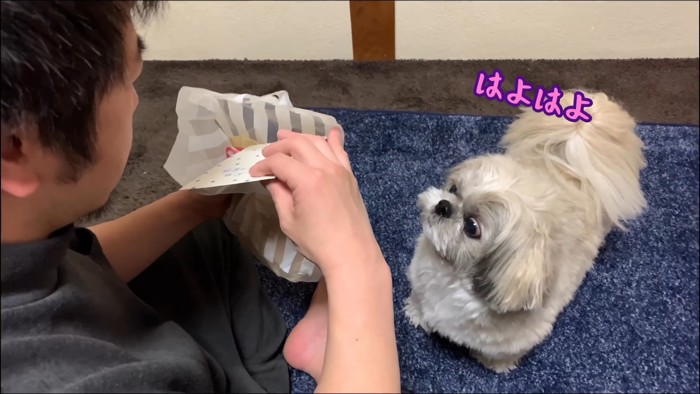 てんぽさんにおもちゃが届いたら