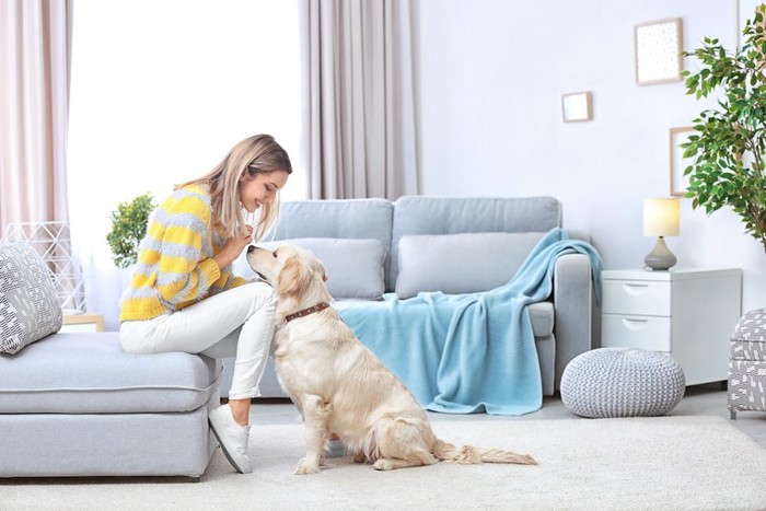 ソファーに座る女性とお座りしている犬