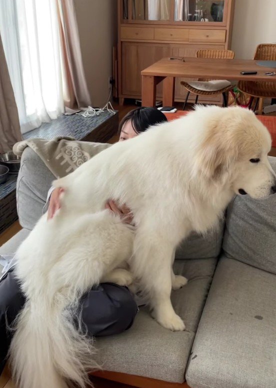 子犬感覚が抜けきらない♡