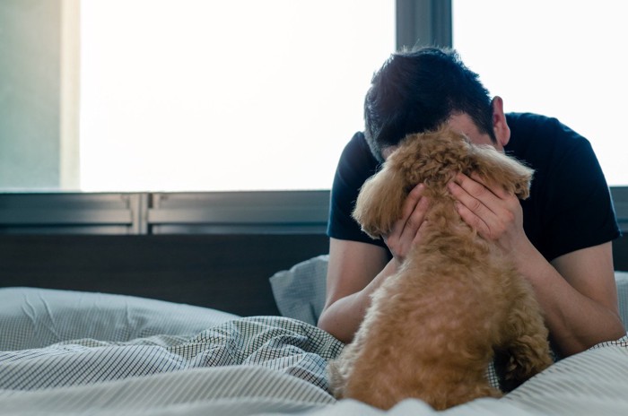 ベッドの上、起こしに来た犬の後ろ姿