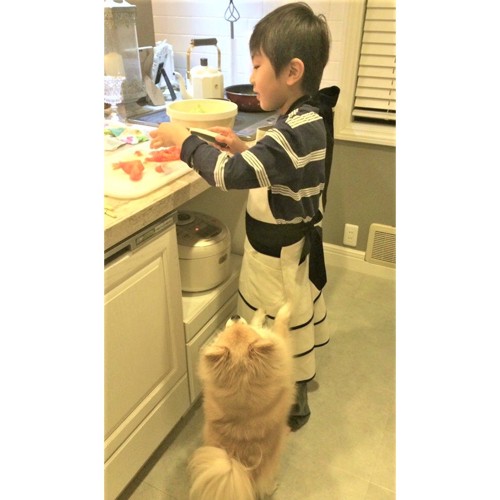 お料理する男の子とクッキー