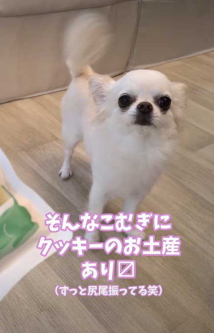「おみやげもあるの！？」