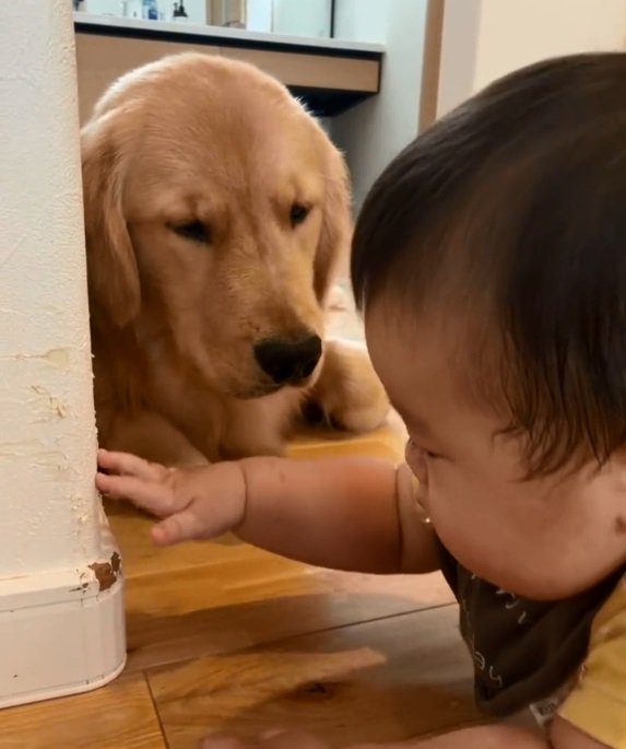 まだ壁が気になる赤ちゃん