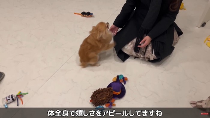 大はしゃぎ！