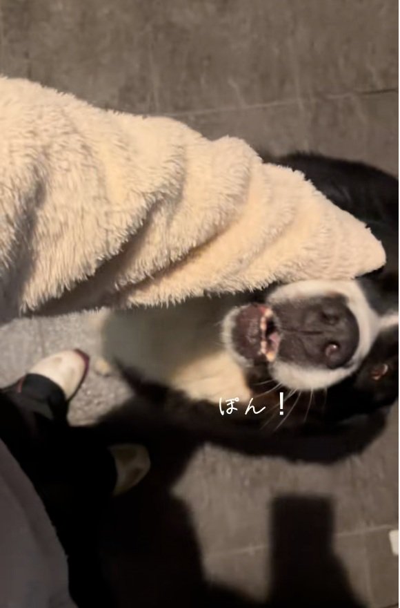 頭に手を乗せるララちゃん