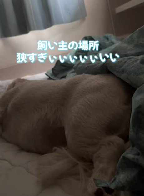 ゴロリと寝がえり