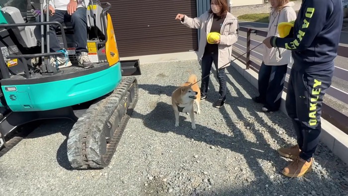 「早く乗らせて!!」