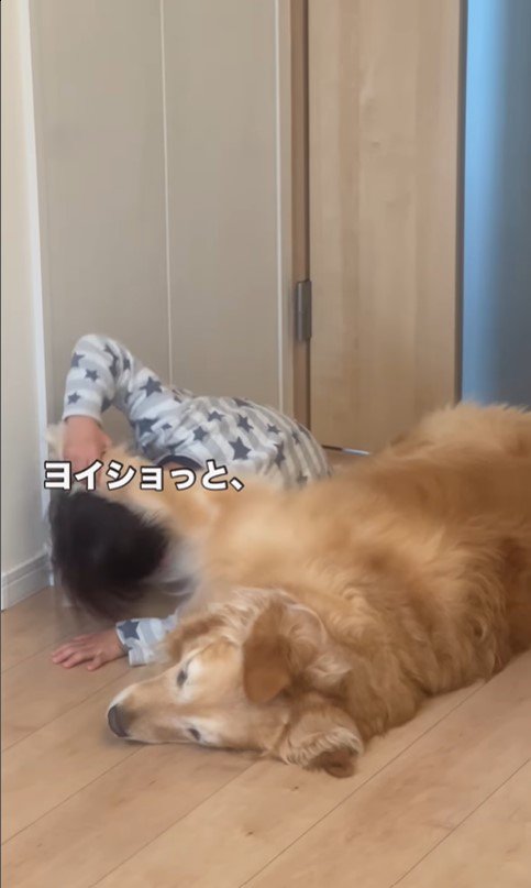 きなこちゃんと二度寝する男の子5