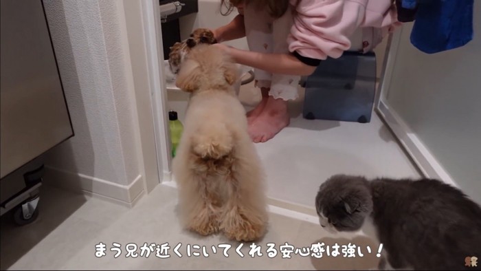 うゆちゃんのシャンプー中の出来事5