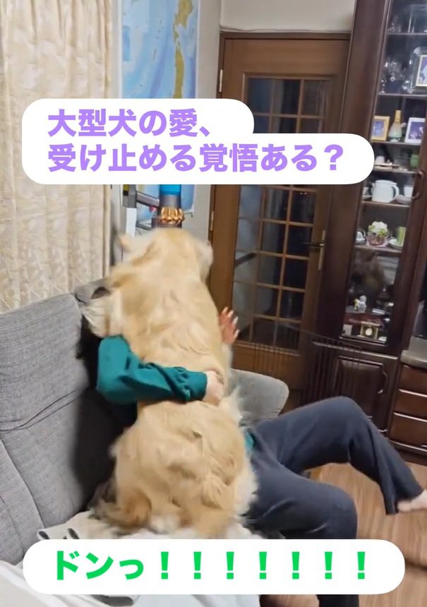 体当たりするブランくん