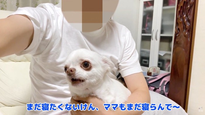 「ママも一緒に起きていてくれないとヤダ!」