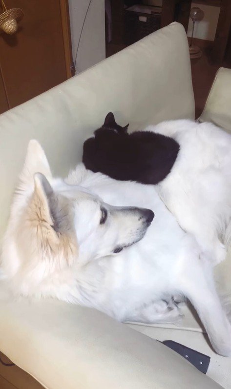 仲良しなリリーちゃん＆タンタンちゃん