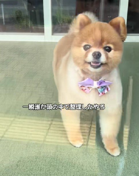 「誰でもええんかい」