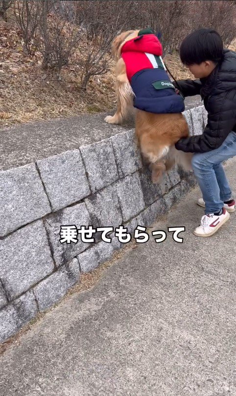 高いところに登りたがる空くん2