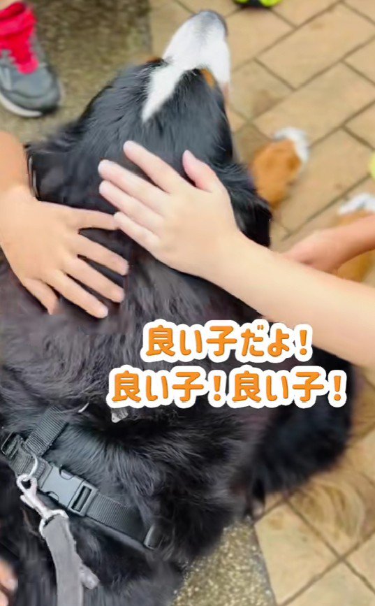 あまりに優しくされて…