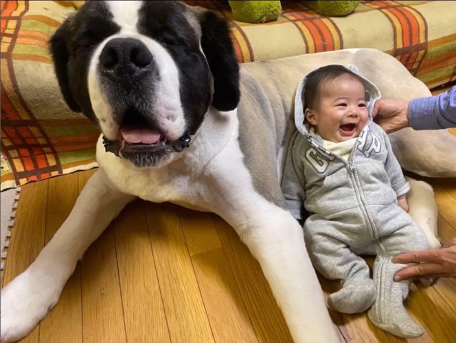 カイザーくんとの思い出4