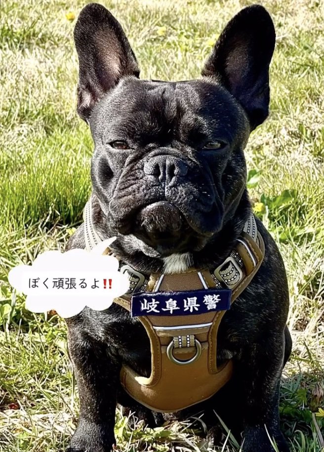 誇らしげ