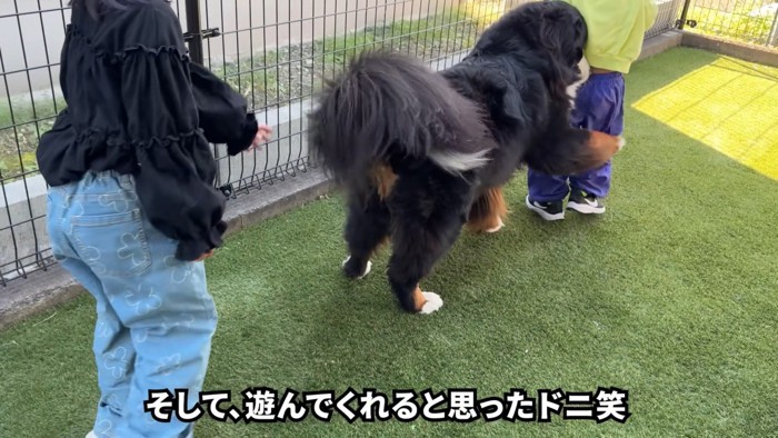 「遊んでくれるの?やった~♪」と大喜び
